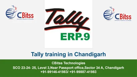 Tally Training in Chandigarh/CBitss Sector 34A