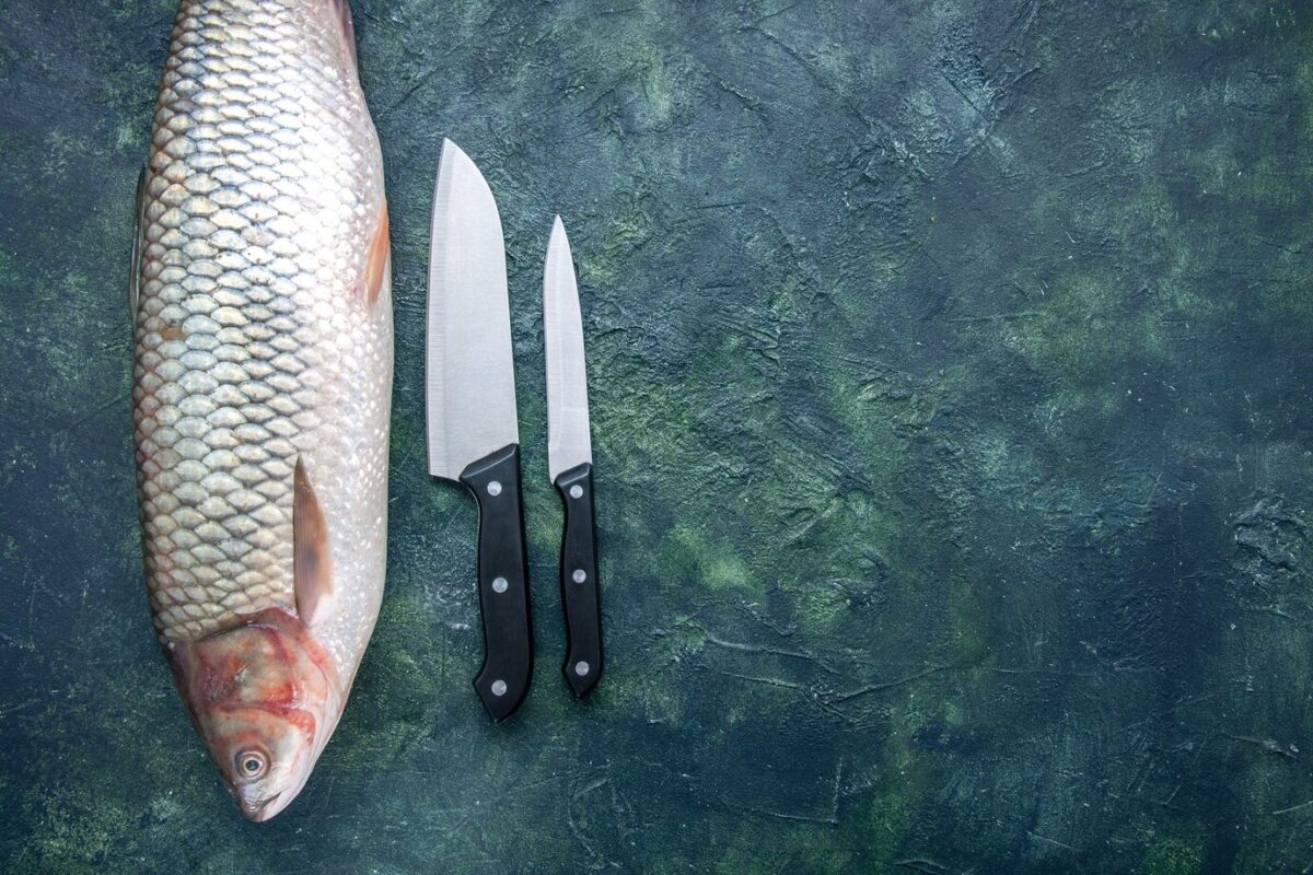 10 Tips For Using Fish Fillet Knife in 2024