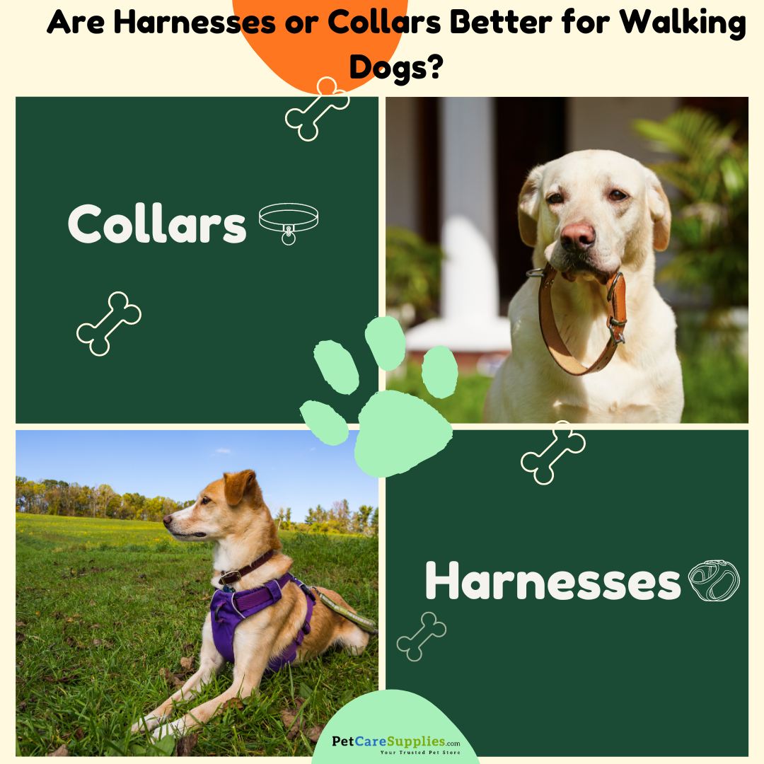 Harnesses vs. Collars: Which is Better for Walking Dogs?