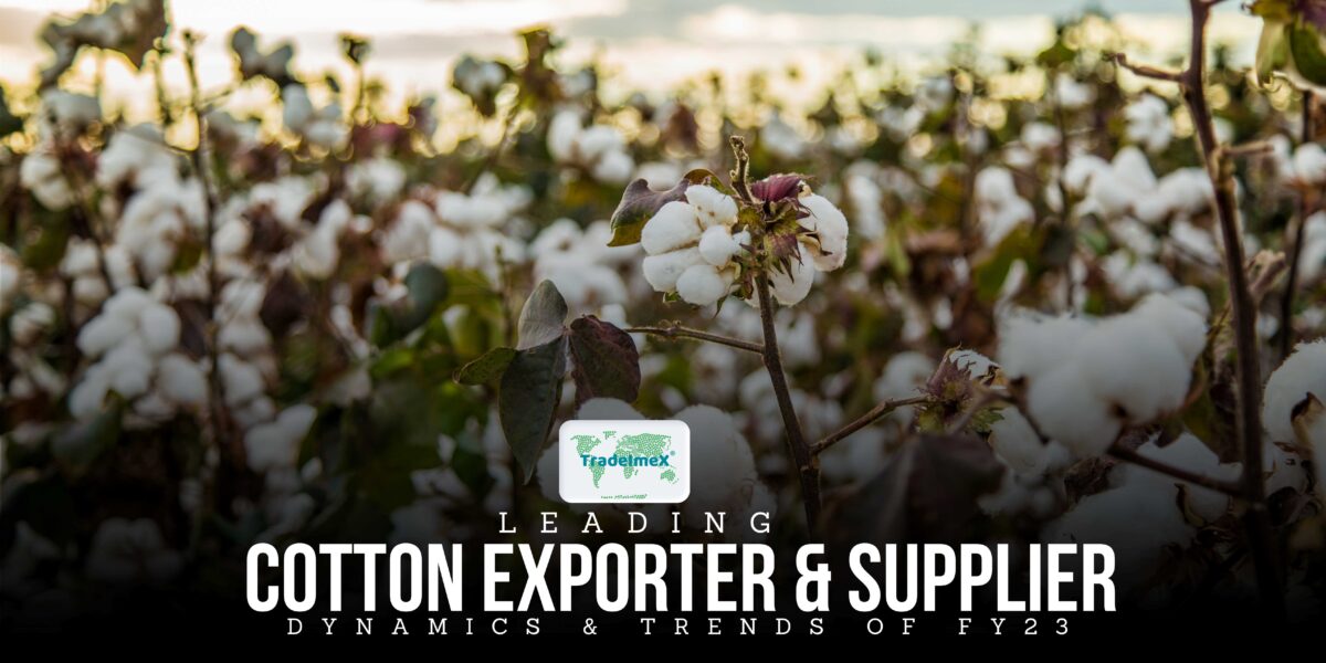 Top Cotton Exporters and Producers Countries in FY23