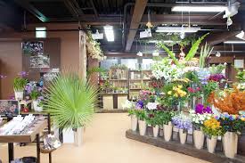 Blossoms In abundance:  Investigating Blooms Shops with Almumtaz