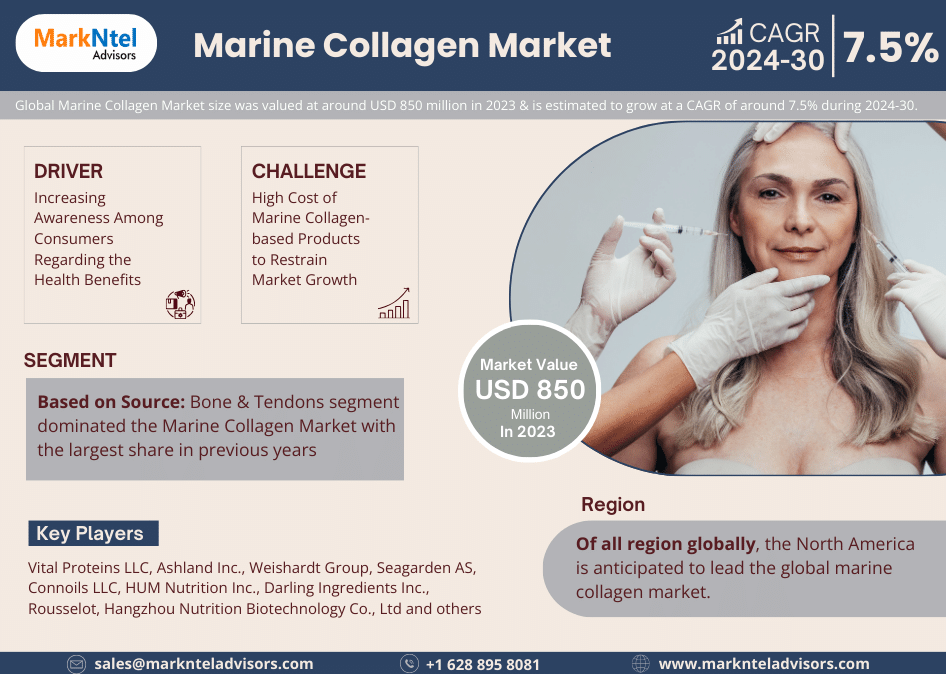 Marine Collagen Market Exceeds USD 850 million in 2023, Predicts 7.5% CAGR Triumph Until 2030