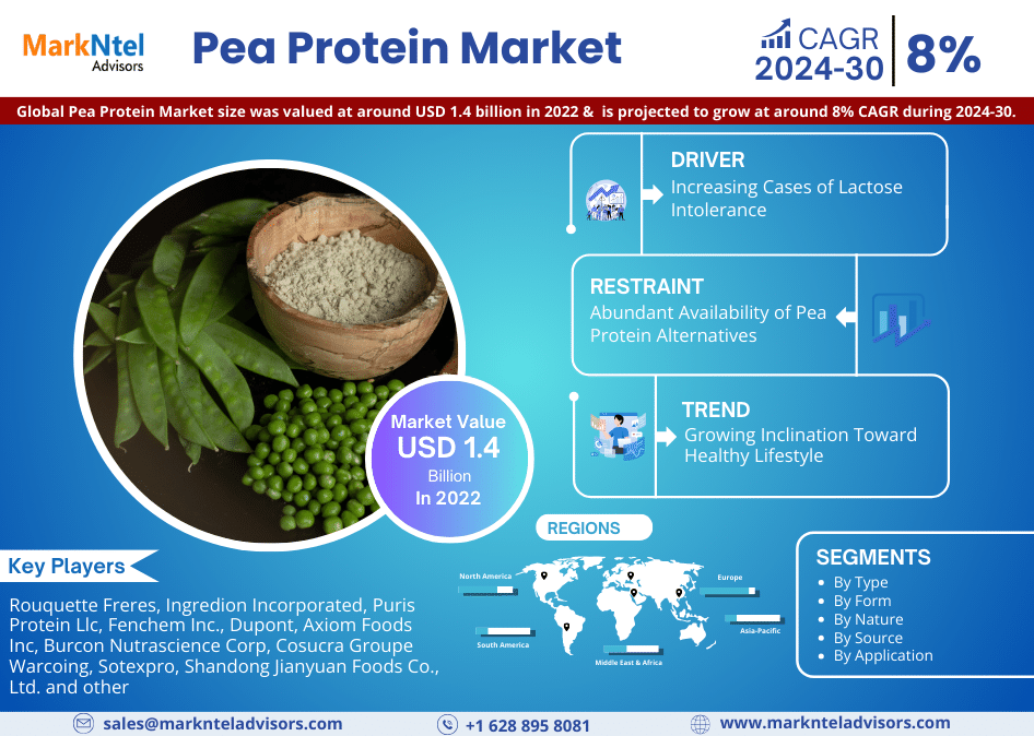 Pea Protein Market Exceeds USD 1.4 billion in 2022, Predicts 8% CAGR Triumph Until 2030