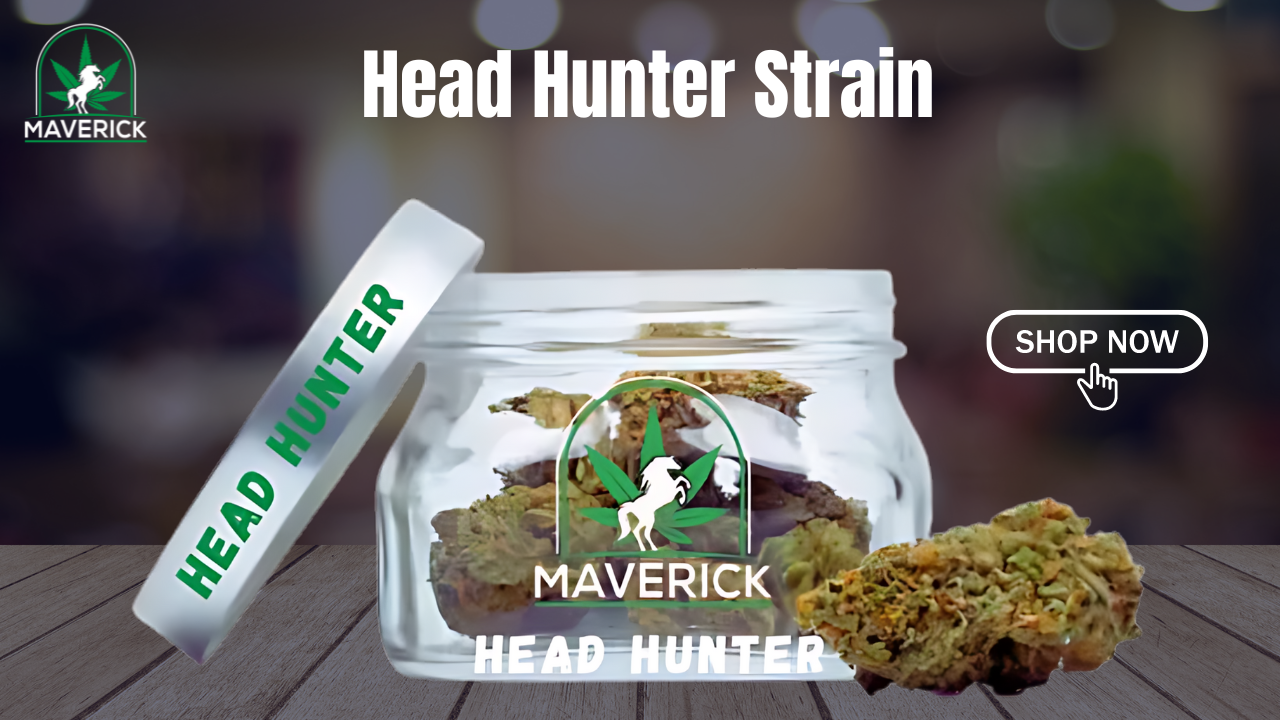 Head Hunter Strain: Explore at Maverick Dispo