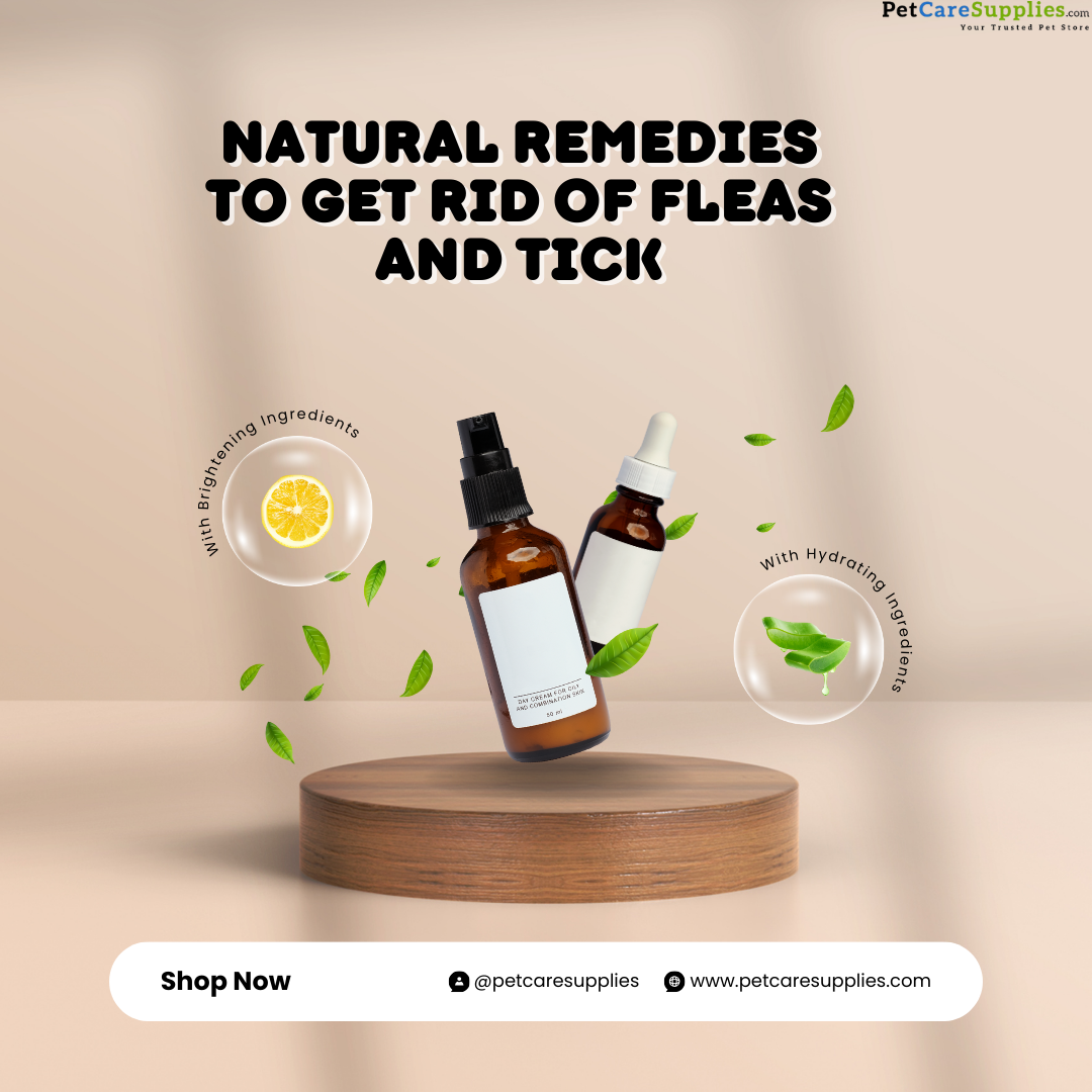 Natural Remedies to Get Rid of Fleas and Ticks