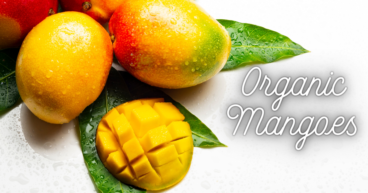 Taste the Difference: Buy Organic Mangoes Online Today