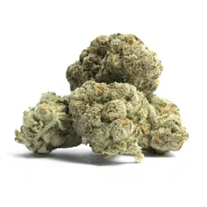 Hash Burger Weed Strain Vs. High Octane Weed Strain: Are They Safe to Buy Online?