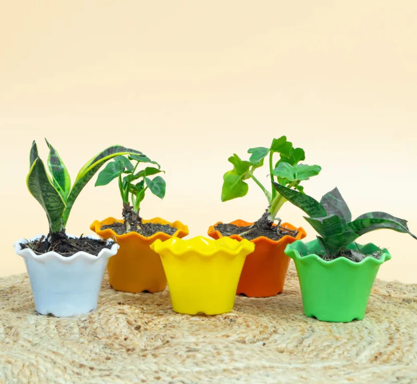 Plastic pots for plants