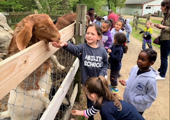 Best Pre School | New Jersey