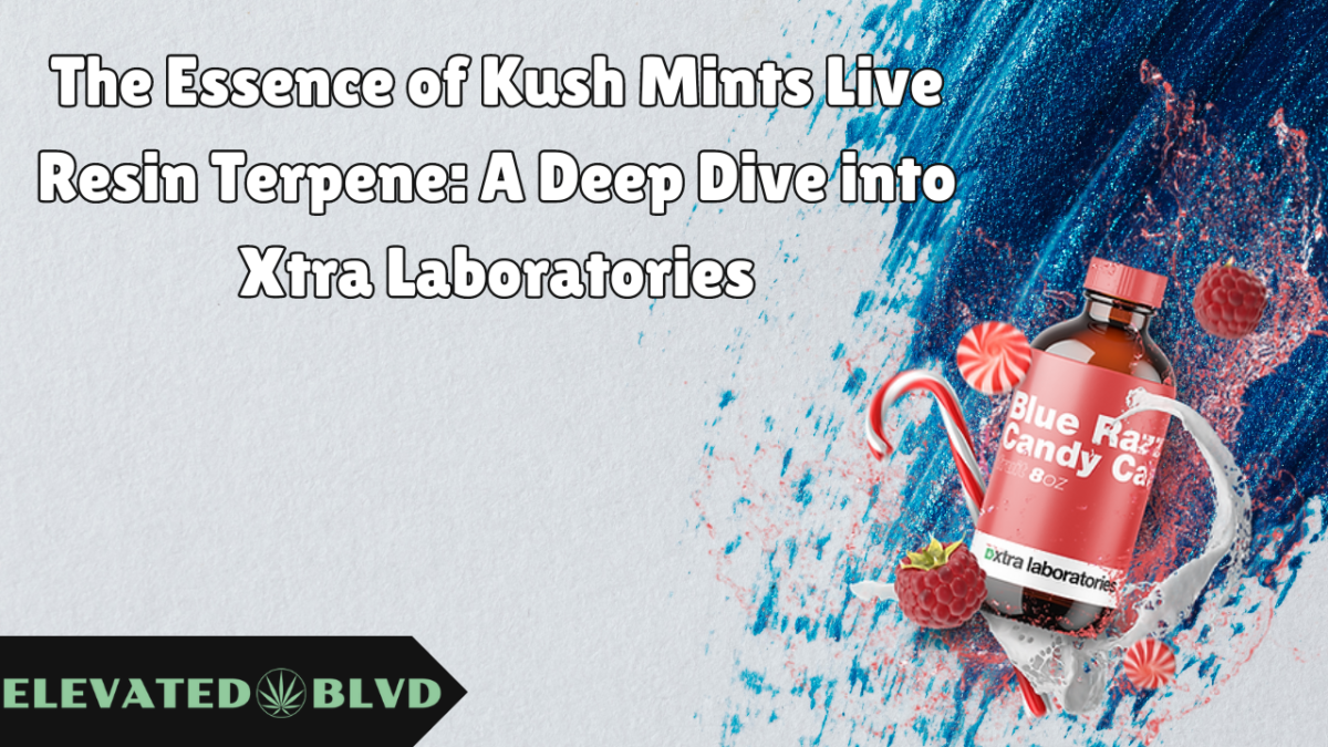 The Essence of Kush Mints Live Resin Terpene: A Deep Dive into Xtra Laboratories