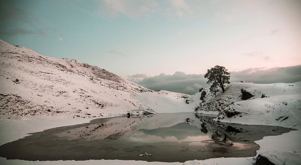 Unveiling the Brahmatal Trek: A Beginner’s Delight in the Himalayas