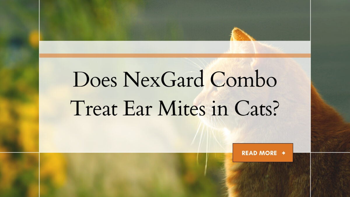Does NexGard Combo Treat Ear Mites in Cats?