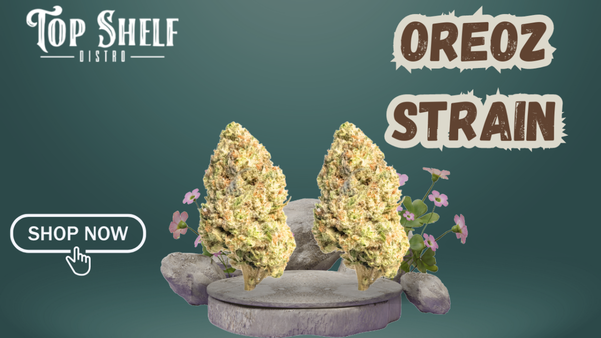 Shop Oreoz Strain at Top Shelf Distro for Quality and Flavor