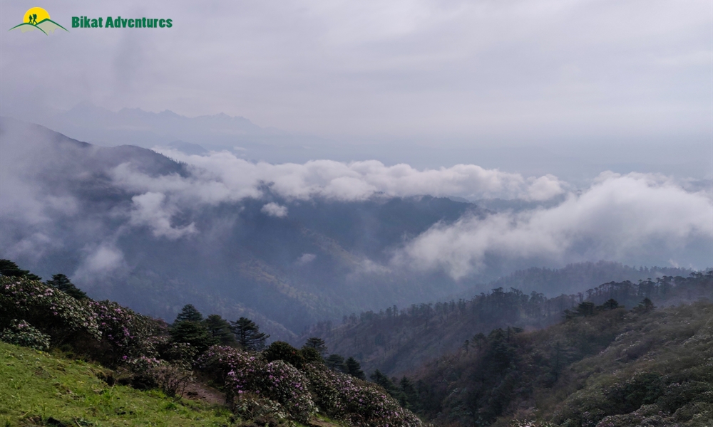 Sandakphu Trek