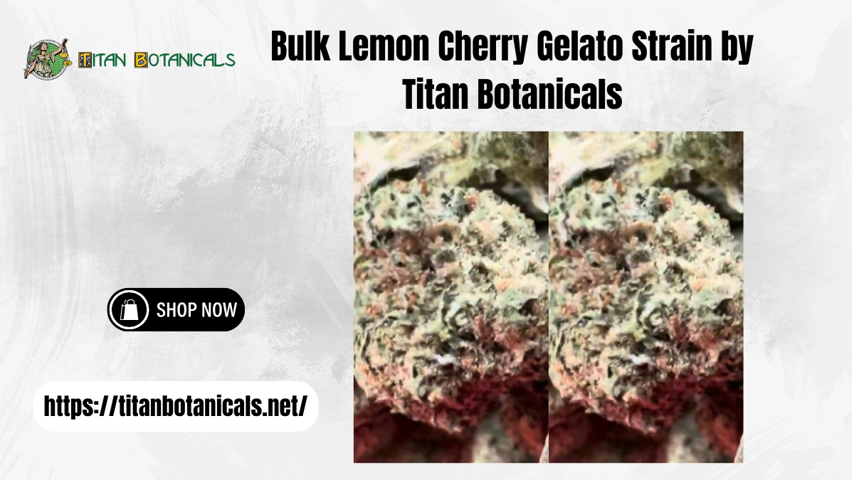 Bulk Lemon Cherry Gelato Strain by Titan Botanicals