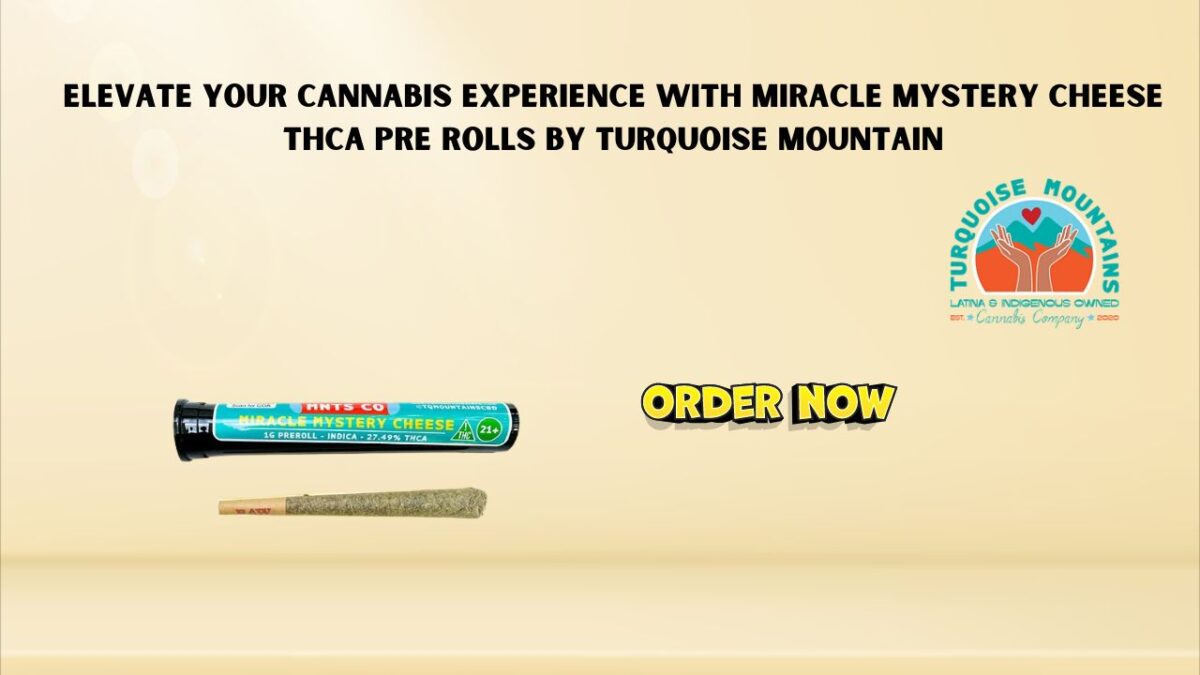 Elevate Your Cannabis Experience with Miracle Mystery Cheese THCA Pre Rolls by Turquoise Mountain