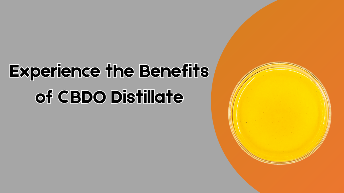 Experience the Benefits of CBDO Distillate