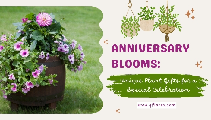 Anniversary Blooms: Unique Plant Gifts for a Special Celebration