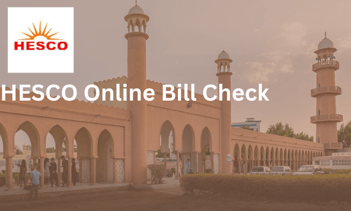 HESCO Bill Online: A Simple Guide to Checking and Paying Your ...