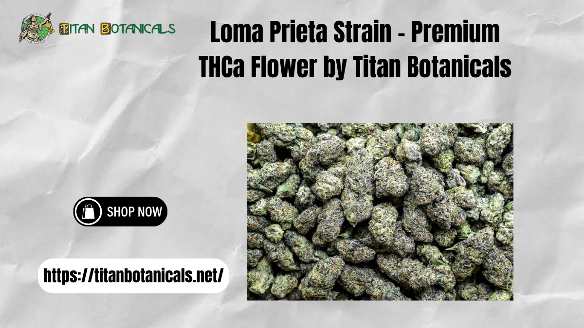 Loma Prieta Strain – Premium THCa Flower by Titan Botanicals