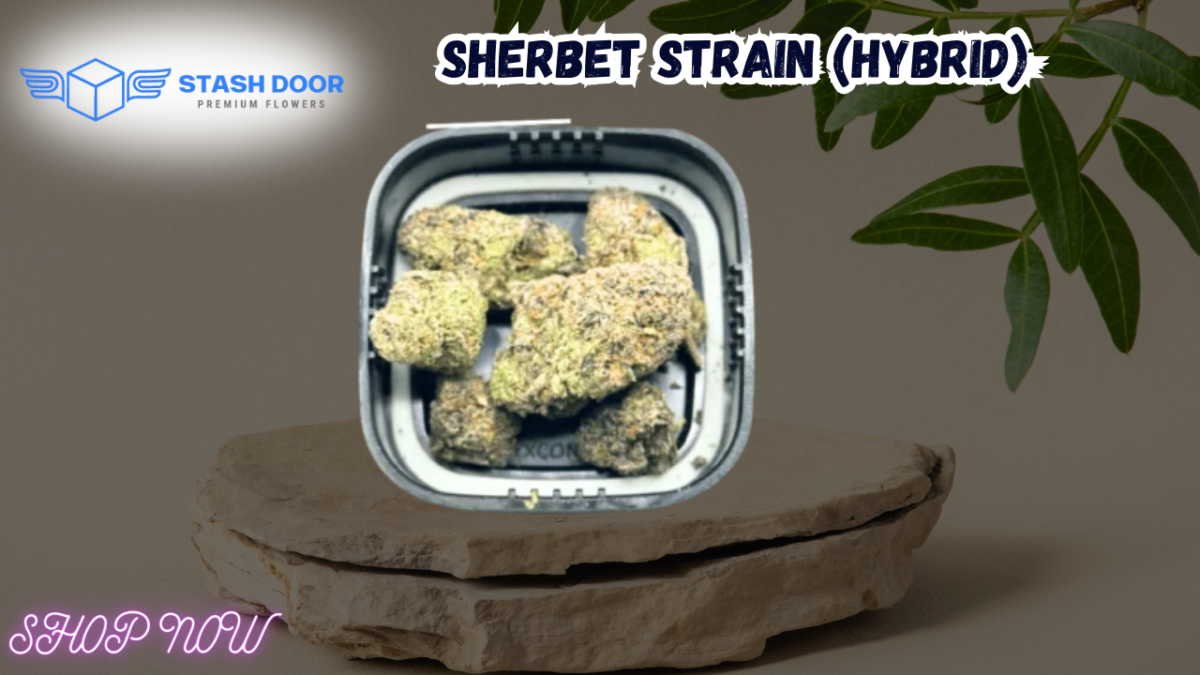 Experience the Unique Flavor of Sunset Sherbet Strain