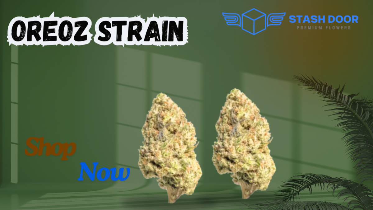 Best Oreoz Strain (Hybrid) – Buy Oreoz THCA Flower at Stash door