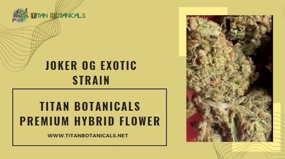 Premium Joker OG Exotic Strain by Titan Botanicals