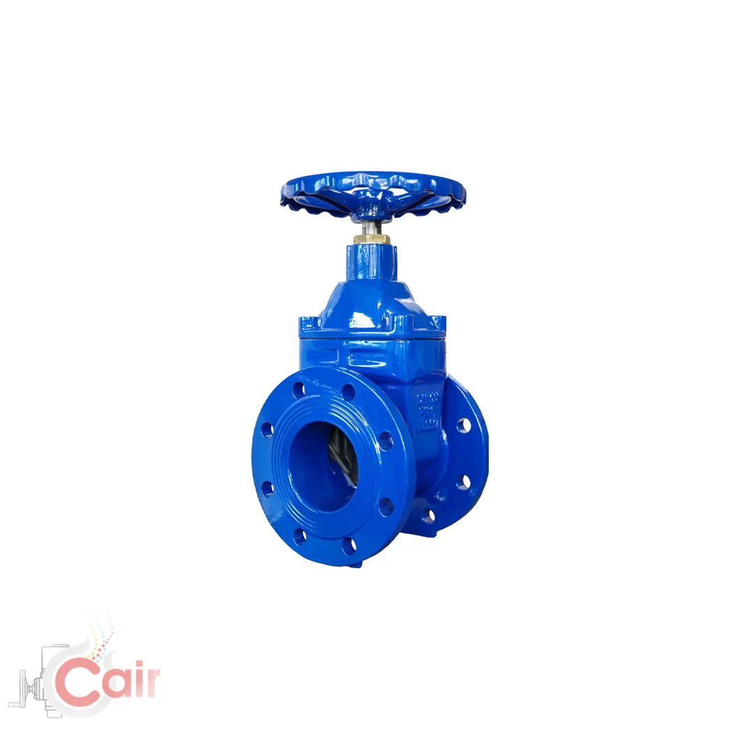 Resilient Gate Valve