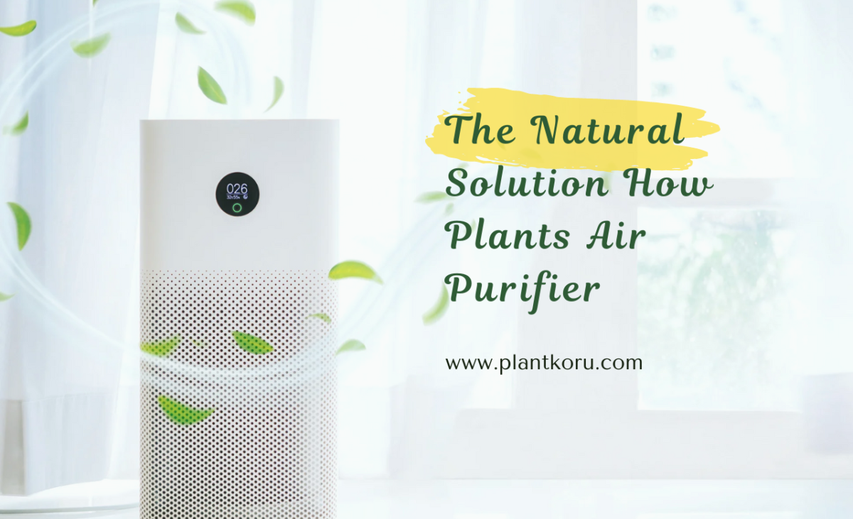 The Natural Solution How Plants Air Purifier