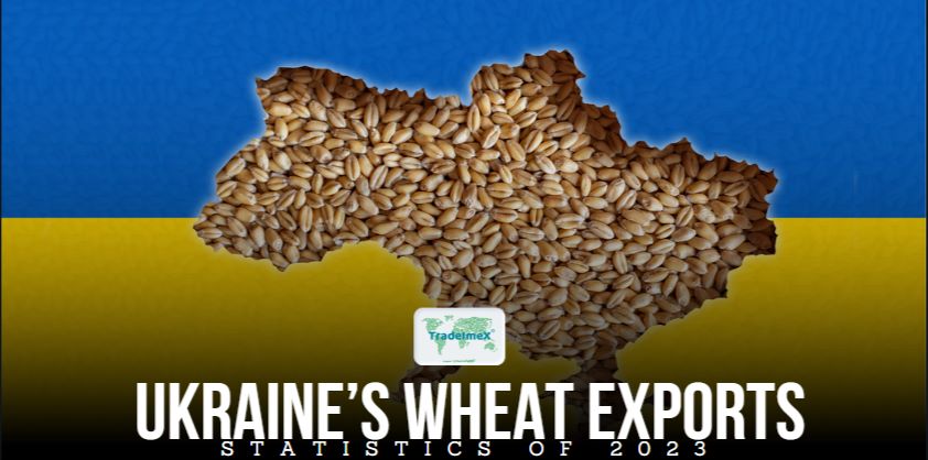 Ukraine grain exports