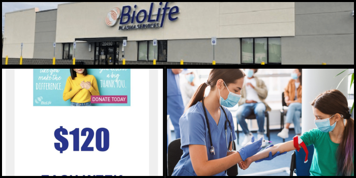 How Much Does Biolife Pay Per A Donation?