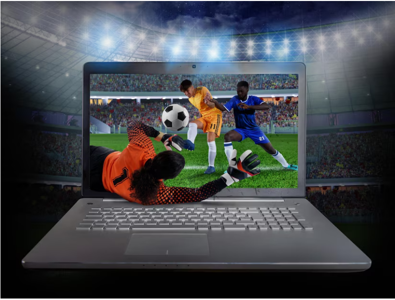 Getting Started with Your Sports Betting Website: A Beginner’s Guide