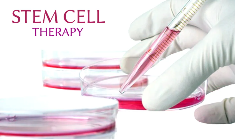 Why India is Becoming a Global Hub for Stem Cell Therapy