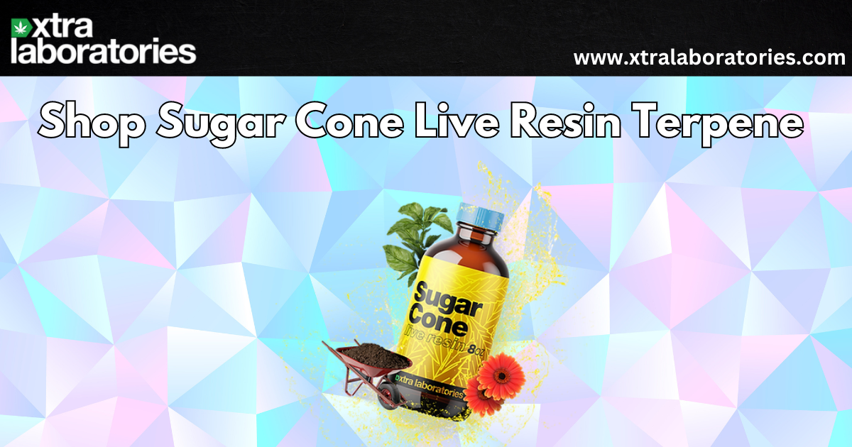 Shop Sugar Cone Live Resin Terpene