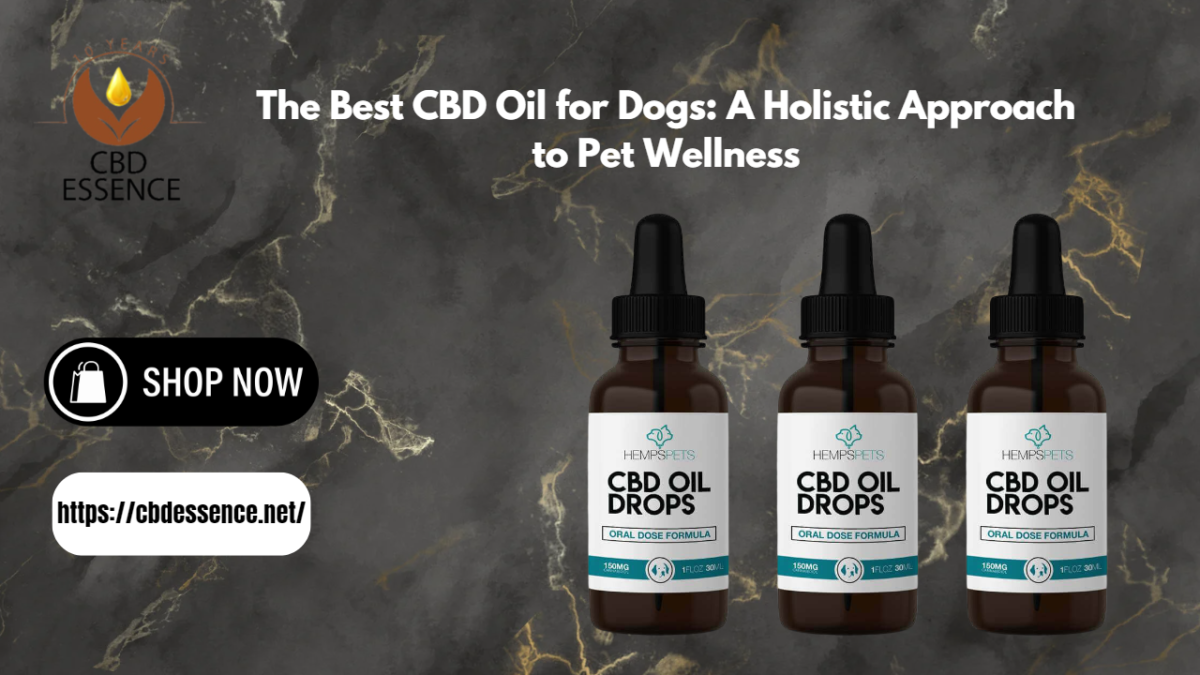 The Best CBD Oil for Dogs: A Holistic Approach to Pet Wellness