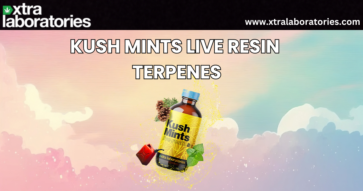 Kush Mints Live Resin Terpene: Unleash a Fresh Burst of Flavor with Xtra Laboratories