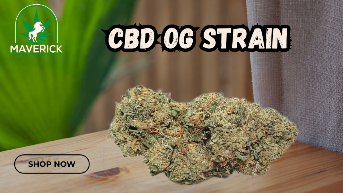 CBD OG Strain: Premium Quality at Maverick Dispo