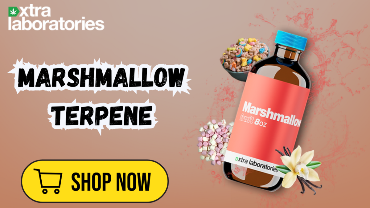 Marshmallow Terpenes – Sweeten Your Vape Experience