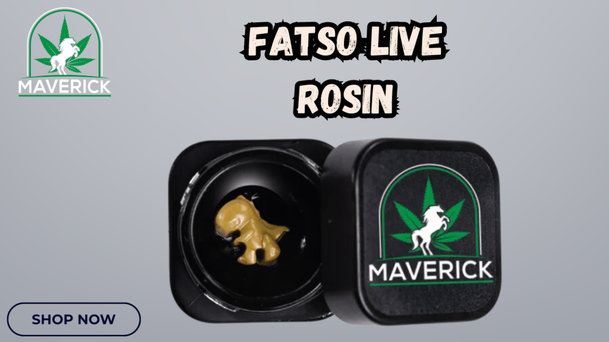 Discover the Premium Quality of Fatso Live Rosin at Maverick Dispo