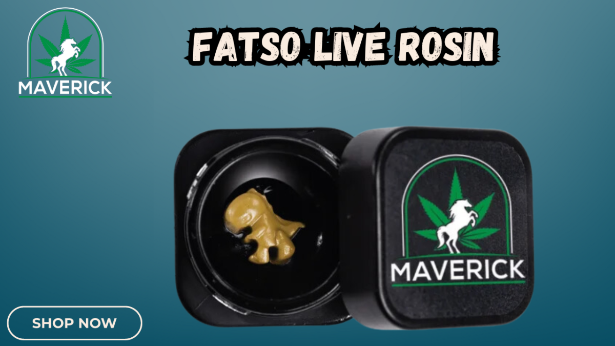 Discover the Excellence of Fatso Live Rosin: A Comprehensive Guide.