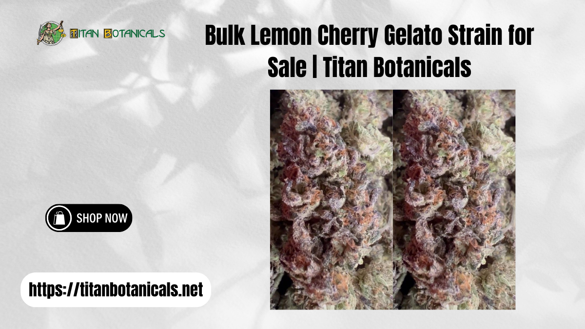 Bulk Lemon Cherry Gelato Strain for Sale | Titan Botanicals