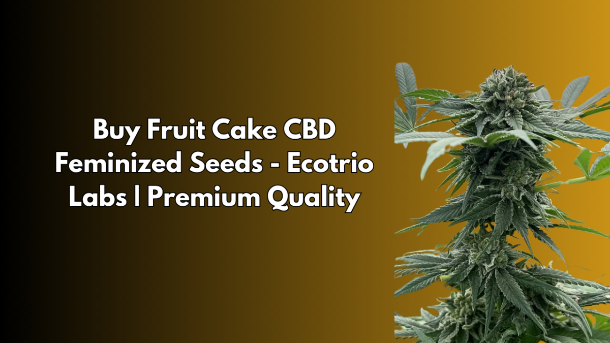 Buy Fruit Cake CBD Feminized Seeds – Ecotrio Labs | Premium Quality