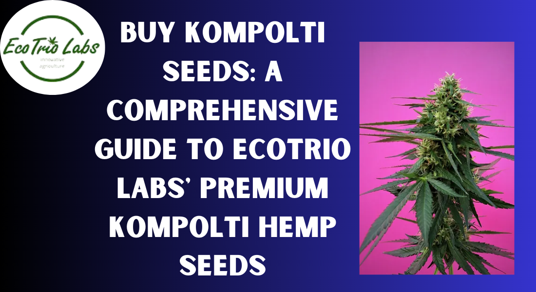 Buy Kompolti Seeds: A Comprehensive Guide to Ecotrio Labs’ Premium Kompolti Hemp Seeds