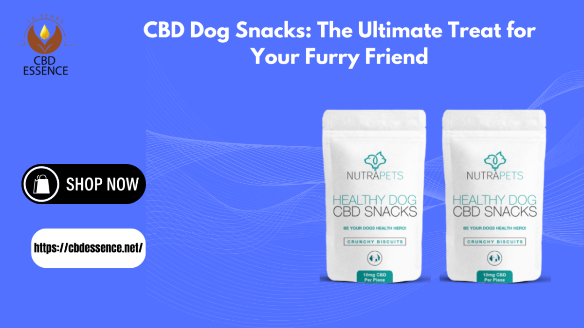 CBD Dog Snacks: The Ultimate Treat for Your Furry Friend