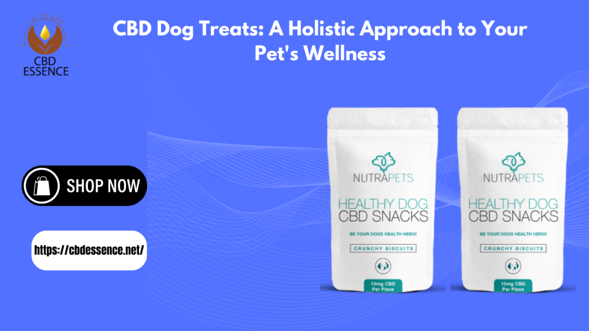 CBD Dog Treats: A Holistic Approach to Your Pet’s Wellness