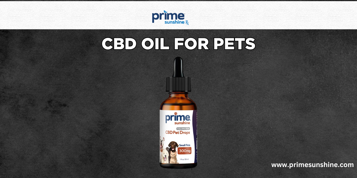 CBD Oil For Pets