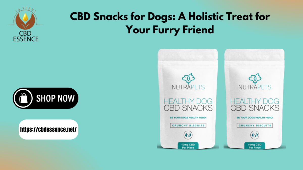 CBD Snacks for Dogs: A Holistic Treat for Your Furry Friend