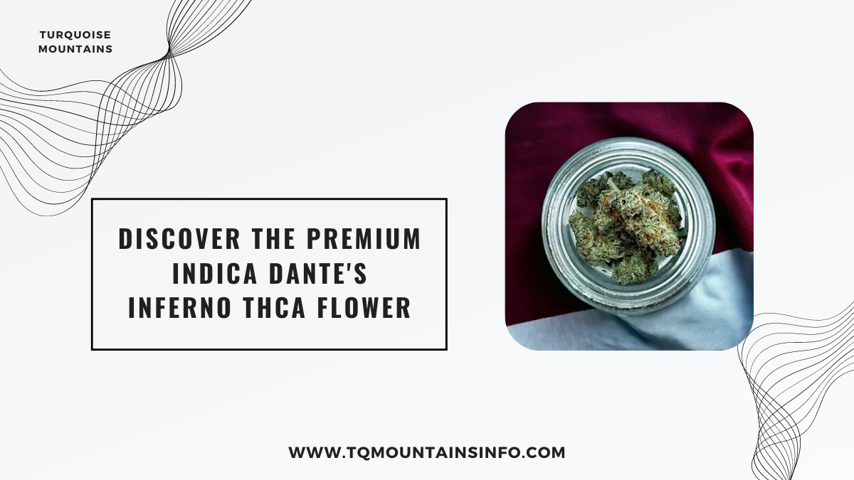 Discover the Premium Indica Dante’s Inferno THCA Flower