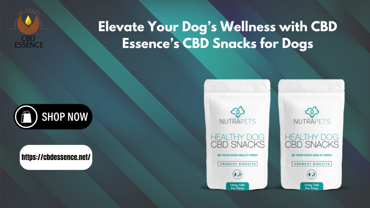 CBD Snacks for Dogs