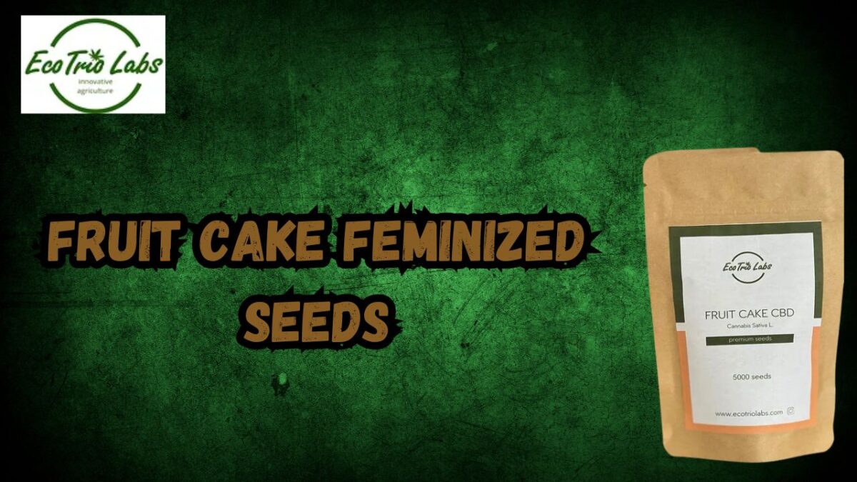 Fruit Cake CBD feminized seeds